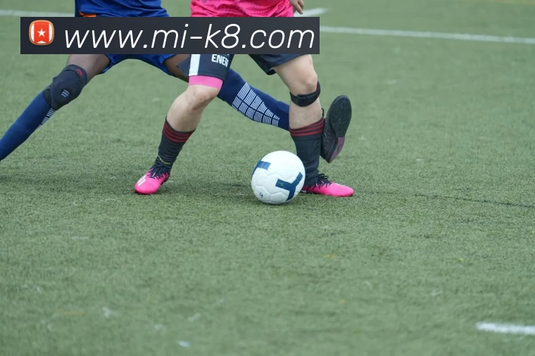 App Interface Preview